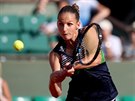 Karolína Plíková returnuje v semifinále Roland Garros.