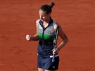 Karolína Plíková a její radost bhem semifinále Roland Garros.