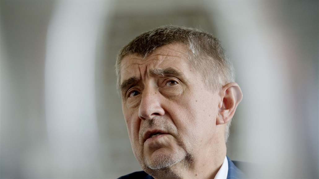 P�edseda hnutí ANO a bývalý ministr financí Andrej Babi� p�i rozhovoru s...