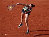 Karolna Plkov bojuje v semifinle Roland Garros.