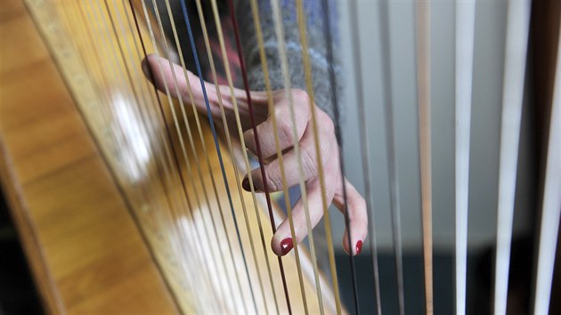 Prvnm nstrojem Anny Kolakov byl klavr, pak pibyla harfa a tak varhany. Na harf ji fascinoval jej vzneen vzhled i zabarven tnu.
