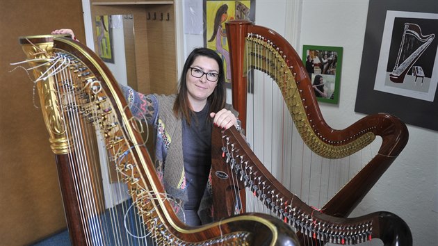 Prvním nástrojem Anny Kolaříkové byl klavír, pak přibyla harfa a také varhany. Na harfě ji fascinoval její vznešený vzhled i zabarvení tónu.