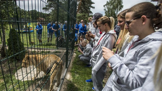 esk basketbalistky a jejich adoptivn lvice Lefinka