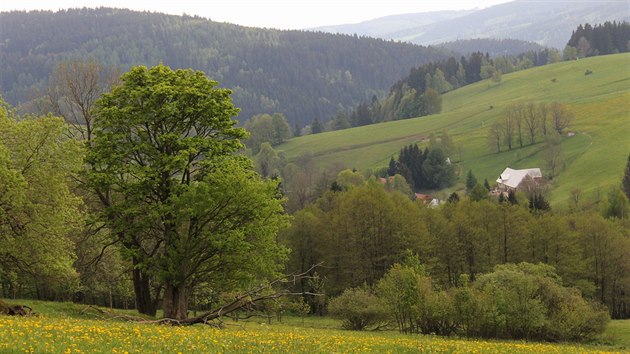 Albeřické údolí leží ve východních Krkonoších mezi Pomezními boudami a Žacléřem.