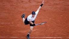 Brit Andy Murray b�hem osmifinále Roland Garros.