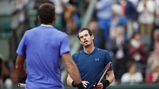 Andy Murray (vpravo) jde po vítzném zápase podat ruku Junu Martínu del Potrovi.