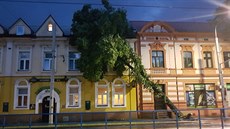 Strom vyvrácený bhem úterní bouky v centru Ostravy. (6. 6. 2017)