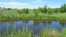 Rybní�ek (30×7m) si navrhl a osázel vodními rostlinami Milan sám.