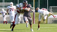 Celek Vysoina Gladiators se spoléhá na pevnou obranu, v pti dosavadních...