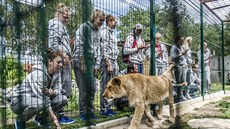 eské basketbalistky a jejich adoptivní lvice Lefinka