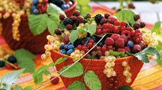 Ilustra�ní snímek