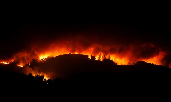 Lesní poár poblí msta Pedróg&#227;o Grande v centrálním Portugalsku (18....