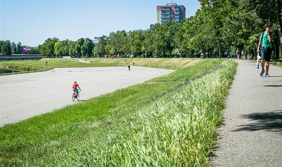 Po náplavce u Vltavy v Českých Budějovicích vede oblíbená cyklostezka.