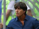 Kou nmeckých fotbalist Joachim Löw.