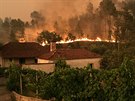 Portugalsko suují rozsáhlé lesní poáry (19. ervna 2017)