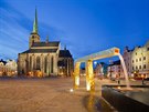 Velbloud, zlacená kana s pozadím katedrály sv. Bartolomje na Námstí...