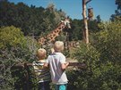 Plzeská zoo je výletním cílem nejenom dtí.