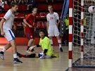 Momentka z charitativního zápasu fotbalové a futsalové reprezentace pro...