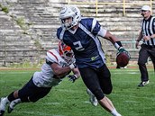 Hrajc kou Luke Wildung z tmu Ostrava Steelers v akci.