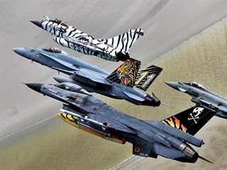Společný let vlajkových letounů tygřích letek z Belgie (F-16), Švýcarska...