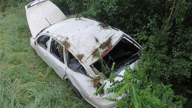 Opil idi kody Octavie se svmi kamardy ujdl policistm ze Znojma a k obci Plave, kde dostal smyk a petoil auto pes stechu.