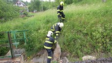 Vlak srazil v Lide�ku na Vsetínsku p�t ovcí, utekly z nedaleké pastviny.