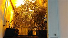 �eskobud�jovi�tí policisté si �li pro mu�e, který ujel hlídce. Na�li u n�j...