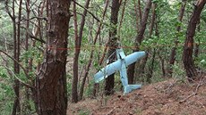 Dron vyfotografovaný jihokorejským ministerstvem obrany podle Soulu fotil nov...