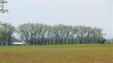 Stromo�adí v Kolod�jích