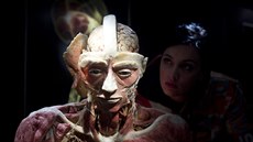 Podle poadatel jsou lidská tla vystavena legáln.