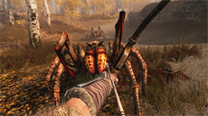 The Elder Scrolls V: Skyrim - verze na Switch