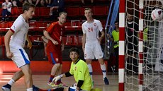 Momentka z charitativního zápasu fotbalové a futsalové reprezentace pro...