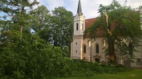 Lípu u kostela Nejsvtjí Trojice v Rokycanech poniila tvrtení bouka...