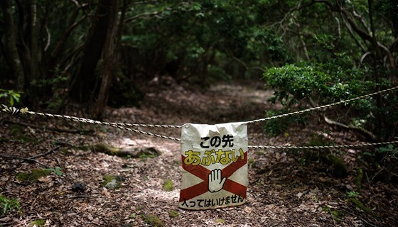 Některé části lesa Aokigahara  jsou nepřístupné.