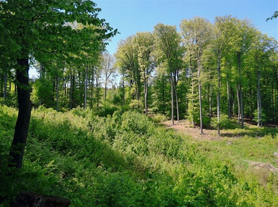 Naunou stezkou Jelení líbek