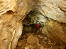 N�v�t�vn�ky jeskyn� Bertal�nka v Moravsk�m krasu �ek� �ada �tunel��. Nej�ast�ji...