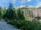 Vysoké Tatry