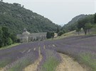 Provence ve své nejkrásnjí podob. V údolí kousek od msta Gordes se lány...