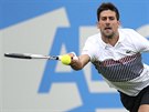 Novak Djokovi na turnaji v Eastbourne