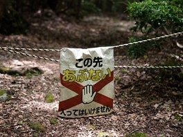 Nkter sti lesa Aokigahara jsou nepstupn.