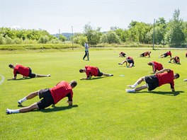 Fotbalist eskch Budjovic na zatku letn ppravy.