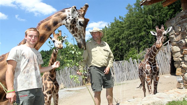 Chovatelé Marek Dohnal a Martin Slepica (zleva) se žirafími samci Manuem, Zuberim a Paulem.