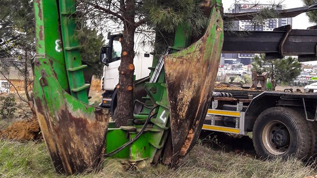 Jet ne ei provedli v Istanbulu zatkem bezna prvn vkop, eili ne zcela typickou staven aktivitu  pesazovn strom.