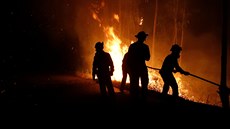 S poáry v centrálním Portugalsku bojuje více ne 1 000 hasi (19. ervna 2017)