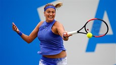 Petra Kvitová se po�ádn� pokládá do úderu v utkání s Kristinou Mladenovicovou.