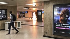 Sebevraedný atentátník zpsobil na bruselském centrálním nádraí mení výbuch....