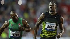 PODEVÁTÉ! Usain Bolt na Zlaté trete startoval bhem své kariéry devtkrát,...