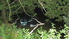 Devatenáctiletý idi vrazil do stromu, auto pak skonilo v rybníce. Jeden ze...