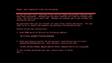 Screenshot počítače zavirovaného novou verzí ransomware Petya