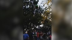 14 letá dívka spadla z lanovky do davu lidí, kteí ji chytali